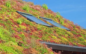 Hotley Bottom living roof systems
